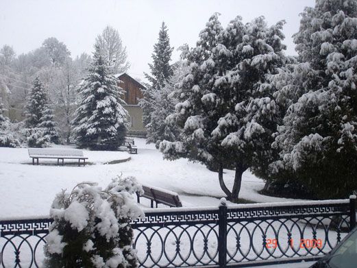 image011.jpg image011.jpg